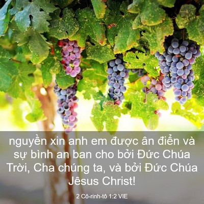 Picture 03 - 2 Cô-rinh-tô 1:2 VIE - nguyền xin anh em được ân điển và sự - Bible Verse Picture