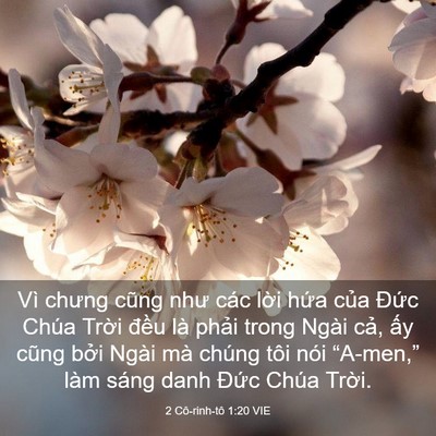 Picture 03 - 2 Cô-rinh-tô 1:20 VIE - Vì chưng cũng như các lời hứa của - Bible Verse Picture