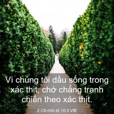 Picture 03 - 2 Cô-rinh-tô 10:3 VIE - Vì chúng tôi dầu sống trong xác thịt, - Bible Verse Picture