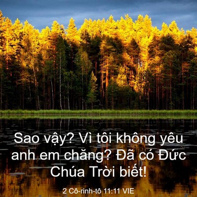 Picture 03 - 2 Cô-rinh-tô 11:11 VIE - Sao vậy? Vì tôi không yêu anh em chăng? - Bible Verse Picture