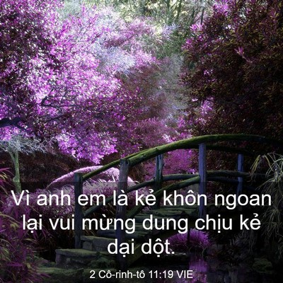 Picture 03 - 2 Cô-rinh-tô 11:19 VIE - Vì anh em là kẻ khôn ngoan lại vui mừng - Bible Verse Picture