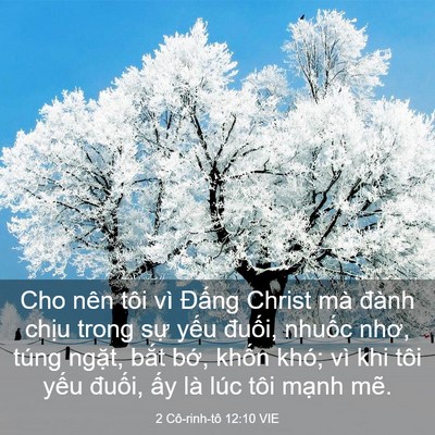 Picture 03 - 2 Cô-rinh-tô 12:10 VIE - Cho nên tôi vì Đấng Christ mà đành - Bible Verse Picture