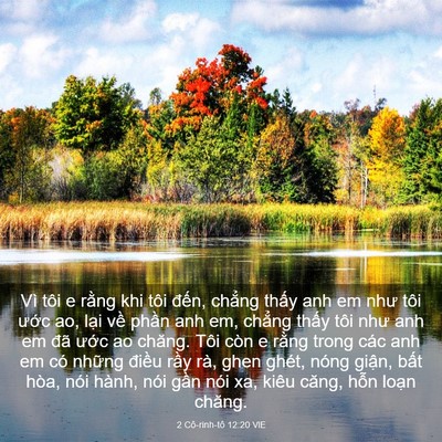 Picture 03 - 2 Cô-rinh-tô 12:20 VIE - Vì tôi e rằng khi tôi đến, chẳng thấy - Bible Verse Picture