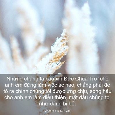 Picture 03 - 2 Cô-rinh-tô 13:7 VIE - Nhưng chúng ta cầu xin Đức Chúa Trời - Bible Verse Picture