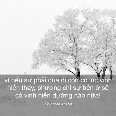 Picture 03 - 2 Cô-rinh-tô 3:11 VIE - vì nếu sự phải qua đi còn có lúc vinh - Bible Verse Picture