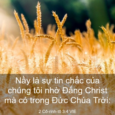 Picture 03 - 2 Cô-rinh-tô 3:4 VIE - Nầy là sự tin chắc của chúng tôi nhờ - Bible Verse Picture