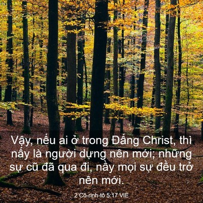 Picture 03 - 2 Cô-rinh-tô 5:17 VIE - Vậy, nếu ai ở trong Đấng Christ, thì - Bible Verse Picture