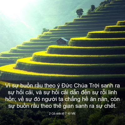 Picture 03 - 2 Cô-rinh-tô 7:10 VIE - Vì sự buồn rầu theo ý Đức Chúa Trời - Bible Verse Picture