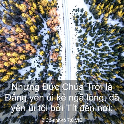 Picture 03 - 2 Cô-rinh-tô 7:6 VIE - Nhưng Đức Chúa Trời là Đấng yên ủi - Bible Verse Picture