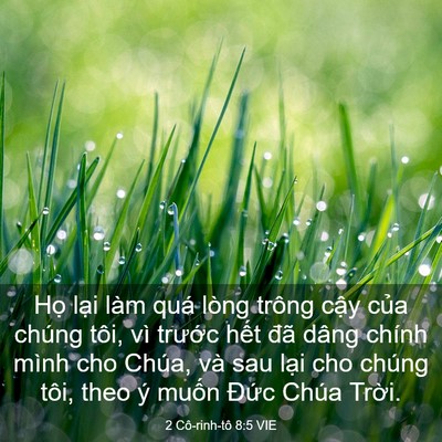 Picture 03 - 2 Cô-rinh-tô 8:5 VIE - Họ lại làm quá lòng trông cậy của - Bible Verse Picture