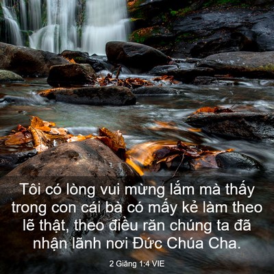 Picture 03 - 2 Giăng 1:4 VIE - Tôi có lòng vui mừng lắm mà thấy trong - Bible Verse Picture