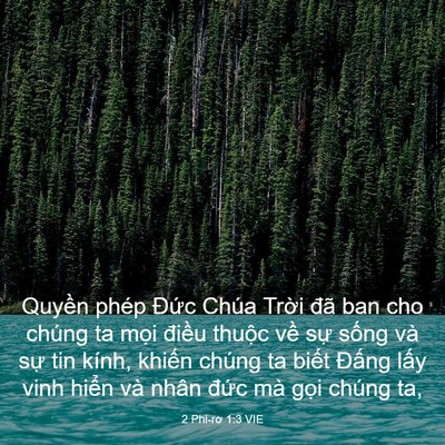 Picture 03 - 2 Phi-rơ 1:3 VIE - Quyền phép Đức Chúa Trời đã ban cho - Bible Verse Picture