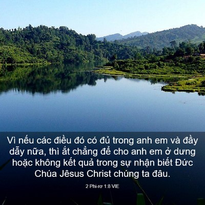 Picture 03 - 2 Phi-rơ 1:8 VIE - Vì nếu các điều đó có đủ trong anh - Bible Verse Picture