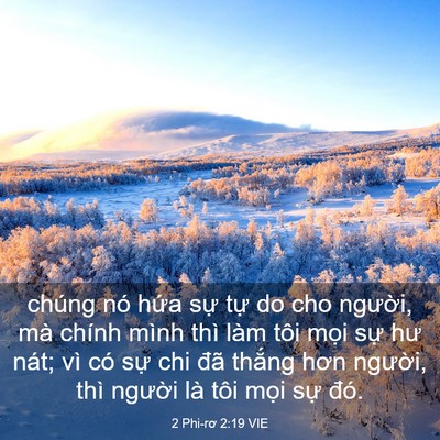 Picture 03 - 2 Phi-rơ 2:19 VIE - chúng nó hứa sự tự do cho người, mà - Bible Verse Picture