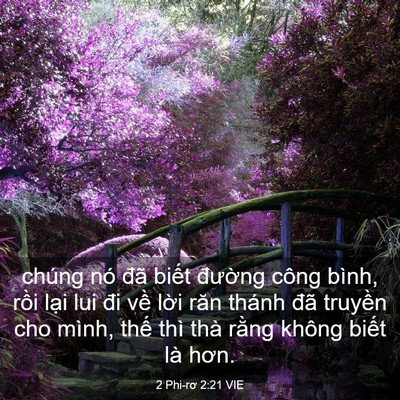 Picture 03 - 2 Phi-rơ 2:21 VIE - chúng nó đã biết đường công bình, - Bible Verse Picture