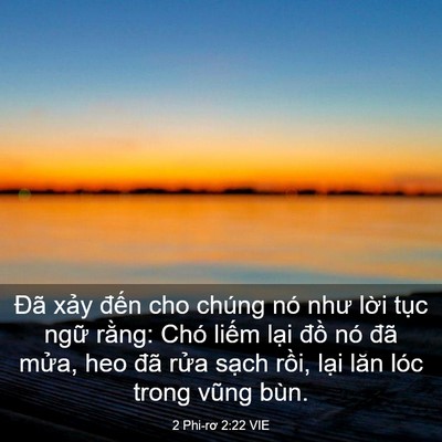 Picture 03 - 2 Phi-rơ 2:22 VIE - Đã xảy đến cho chúng nó như lời tục - Bible Verse Picture