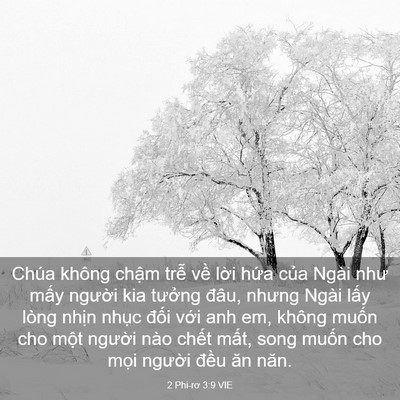 Picture 03 - 2 Phi-rơ 3:9 VIE - Chúa không chậm trễ về lời hứa của - Bible Verse Picture