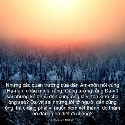Picture 03 - 2 Sa-mu-ên 10:3 VIE - Nhưng các quan trưởng của dân Am-môn - Bible Verse Picture