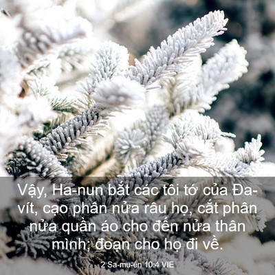 Picture 03 - 2 Sa-mu-ên 10:4 VIE - Vậy, Ha-nun bắt các tôi tớ của - Bible Verse Picture