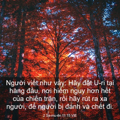 Picture 03 - 2 Sa-mu-ên 11:15 VIE - Người viết như vầy: Hãy đặt U-ri - Bible Verse Picture