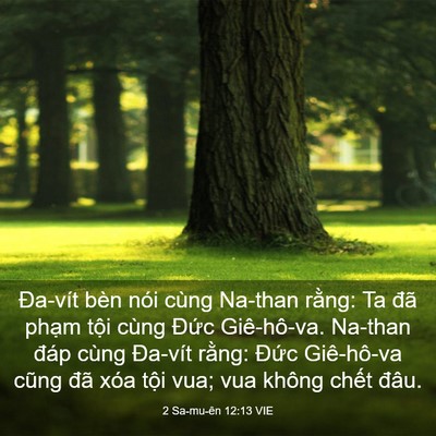 Picture 03 - 2 Sa-mu-ên 12:13 VIE - Đa-vít bèn nói cùng Na-than rằng: Ta đã - Bible Verse Picture
