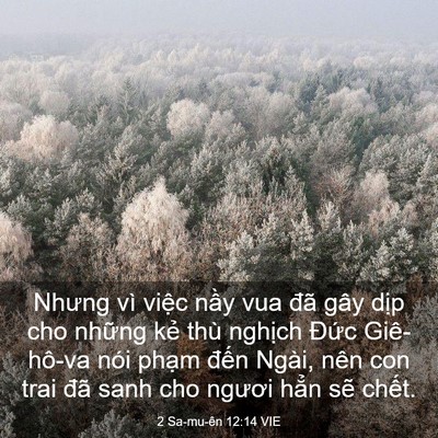Picture 03 - 2 Sa-mu-ên 12:14 VIE - Nhưng vì việc nầy vua đã gây dịp cho - Bible Verse Picture
