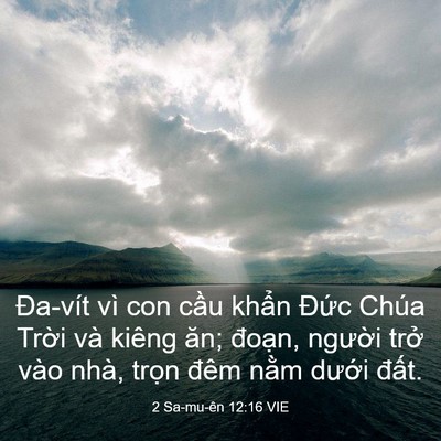 Picture 03 - 2 Sa-mu-ên 12:16 VIE - Đa-vít vì con cầu khẩn Đức Chúa Trời - Bible Verse Picture