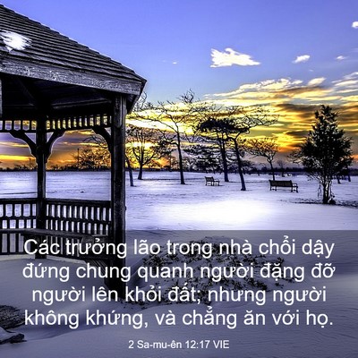 Picture 03 - 2 Sa-mu-ên 12:17 VIE - Các trưởng lão trong nhà chổi dậy - Bible Verse Picture