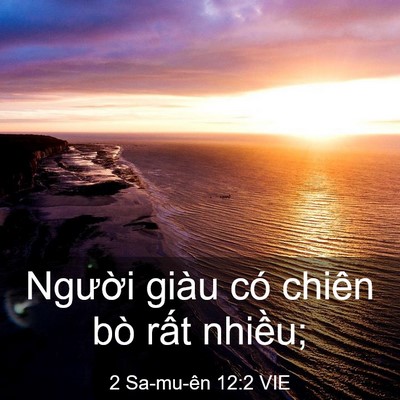 Picture 03 - 2 Sa-mu-ên 12:2 VIE - Người giàu có chiên bò rất - Bible Verse Picture