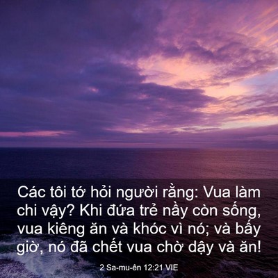 Picture 03 - 2 Sa-mu-ên 12:21 VIE - Các tôi tớ hỏi người rằng: Vua làm - Bible Verse Picture