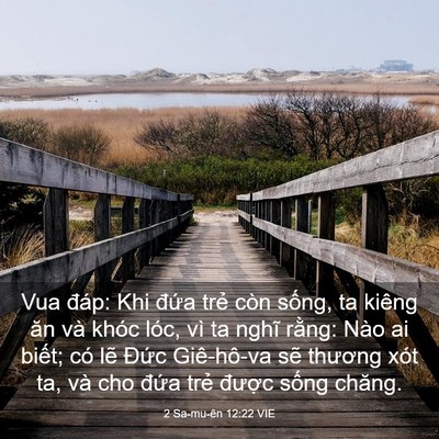 Picture 03 - 2 Sa-mu-ên 12:22 VIE - Vua đáp: Khi đứa trẻ còn sống, ta - Bible Verse Picture