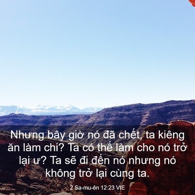 Picture 03 - 2 Sa-mu-ên 12:23 VIE - Nhưng bây giờ nó đã chết, ta kiêng ăn - Bible Verse Picture