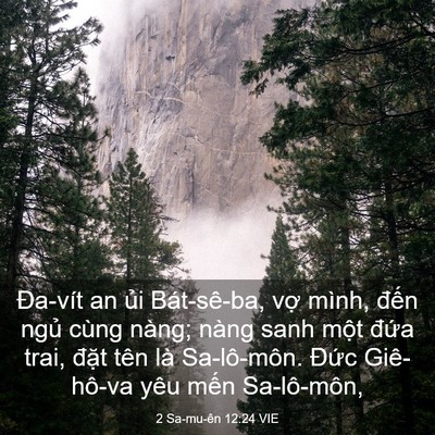 Picture 03 - 2 Sa-mu-ên 12:24 VIE - Đa-vít an ủi Bát-sê-ba, vợ mình, đến - Bible Verse Picture