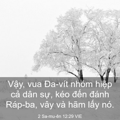 Picture 03 - 2 Sa-mu-ên 12:29 VIE - Vậy, vua Đa-vít nhóm hiệp cả dân sự, - Bible Verse Picture