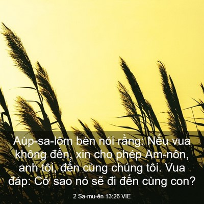 Picture 03 - 2 Sa-mu-ên 13:26 VIE - Aùp-sa-lôm bèn nói rằng: Nếu vua không - Bible Verse Picture