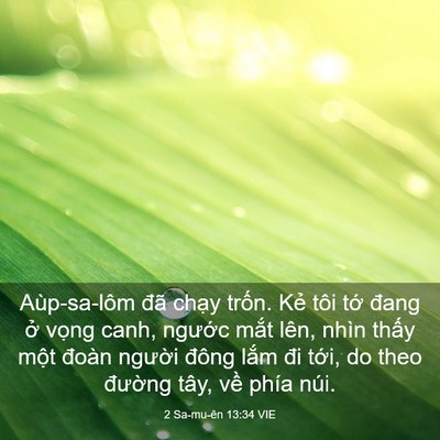 Picture 03 - 2 Sa-mu-ên 13:34 VIE - Aùp-sa-lôm đã chạy trốn. Kẻ tôi tớ - Bible Verse Picture