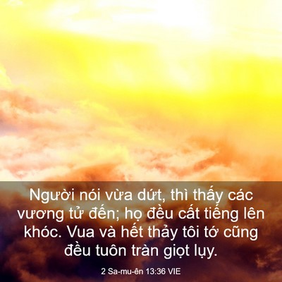 Picture 03 - 2 Sa-mu-ên 13:36 VIE - Người nói vừa dứt, thì thấy các - Bible Verse Picture