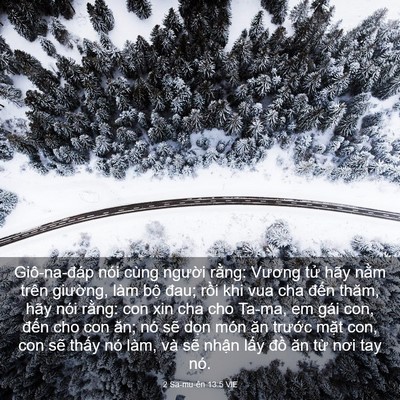 Picture 03 - 2 Sa-mu-ên 13:5 VIE - Giô-na-đáp nói cùng người rằng: Vương - Bible Verse Picture