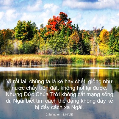 Picture 03 - 2 Sa-mu-ên 14:14 VIE - Vì rốt lại, chúng ta là kẻ hay chết, - Bible Verse Picture