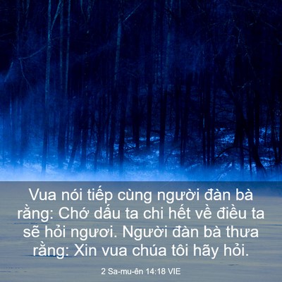 Picture 03 - 2 Sa-mu-ên 14:18 VIE - Vua nói tiếp cùng người đàn bà rằng: - Bible Verse Picture