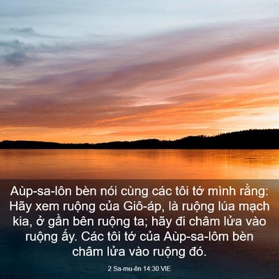 Picture 03 - 2 Sa-mu-ên 14:30 VIE - Aùp-sa-lôn bèn nói cùng các tôi tớ mình - Bible Verse Picture