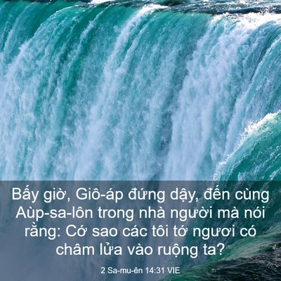 Picture 03 - 2 Sa-mu-ên 14:31 VIE - Bấy giờ, Giô-áp đứng dậy, đến cùng - Bible Verse Picture