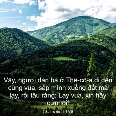 Picture 03 - 2 Sa-mu-ên 14:4 VIE - Vậy, người đàn bà ở Thê-cô-a đi - Bible Verse Picture