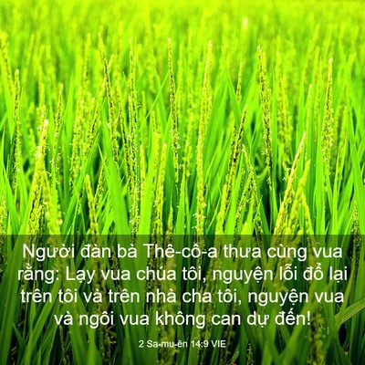 Picture 03 - 2 Sa-mu-ên 14:9 VIE - Người đàn bà Thê-cô-a thưa cùng vua - Bible Verse Picture