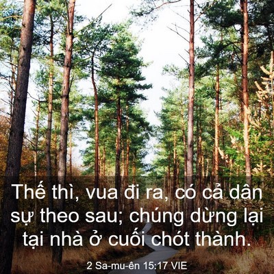 Picture 03 - 2 Sa-mu-ên 15:17 VIE - Thế thì, vua đi ra, có cả dân sự theo - Bible Verse Picture