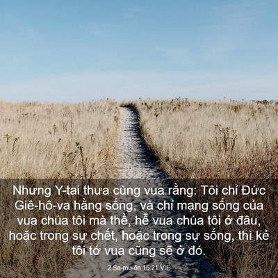Picture 03 - 2 Sa-mu-ên 15:21 VIE - Nhưng Y-tai thưa cùng vua rằng: Tôi chỉ - Bible Verse Picture