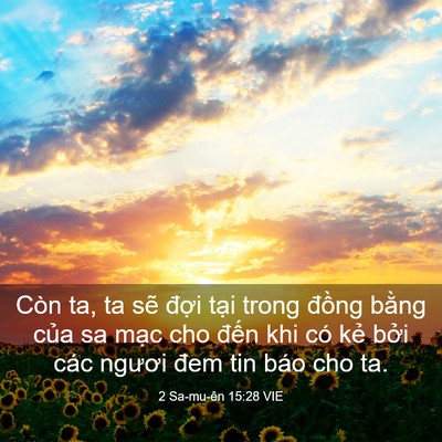 Picture 03 - 2 Sa-mu-ên 15:28 VIE - Còn ta, ta sẽ đợi tại trong đồng - Bible Verse Picture