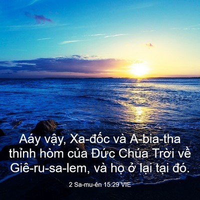 Picture 03 - 2 Sa-mu-ên 15:29 VIE - Aáy vậy, Xa-đốc và A-bia-tha thỉnh hòm - Bible Verse Picture