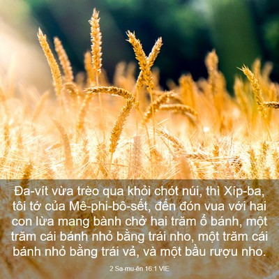 Picture 03 - 2 Sa-mu-ên 16:1 VIE - Đa-vít vừa trèo qua khỏi chót núi, thì - Bible Verse Picture