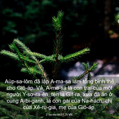 Picture 03 - 2 Sa-mu-ên 17:25 VIE - Aùp-sa-lôm đã lập A-ma-sa làm tổng binh - Bible Verse Picture